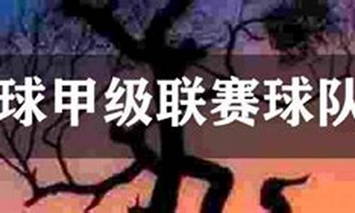 巴西联赛哪个球队厉害-巴西足球有哪些联赛